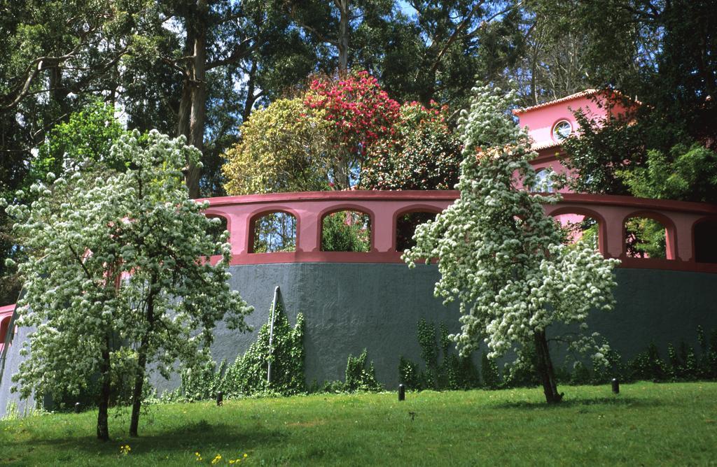 Bio - Quinta Da Serra Hotel Camara de Lobos
